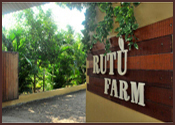 rutu farm